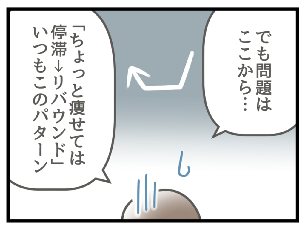 もういい加減やせたい1-6
